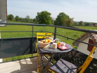 Maison rénovée en Sologne Bourbonnaise, animaux, jardin, terrasse, clim, wifi, linge et draps inclus - FR-1-489-379 - 3