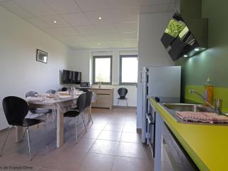 Gîte adapté aux handicapés, idéal randonneurs et familles - FR-1-497-234 - Lonlay-lʼAbbaye - 6