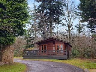 Kingfisher Lodge - Uk46046 - Balloch - 8