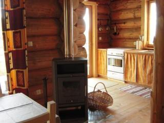 Chalet chaleureux avec poêle à bois et internet à Saint-Martin-la-Sauveté - FR-1-496-184 - 3