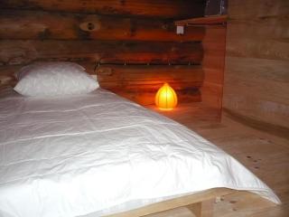 Chalet chaleureux avec poêle à bois et internet à Saint-Martin-la-Sauveté - FR-1-496-184 - Saint-Martin-la-Sauveté - 1