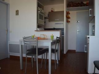 Appartement 2 pièces avec terrasse et parking à Port Camargue - FR-1-250-319 - 8