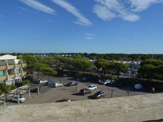 Appartement 2 pièces avec terrasse et parking à Port Camargue - FR-1-250-319 - 2