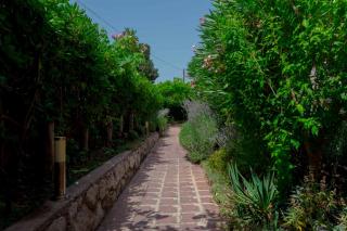 Apartments in Punat - Insel Krk 43343 - Punat - 4