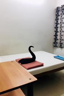 Golden Beach Home Stay - 5