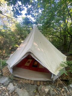 Tente tipi en forêt de châtaigniers - 6