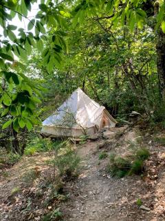 Tente tipi en forêt de châtaigniers - 2