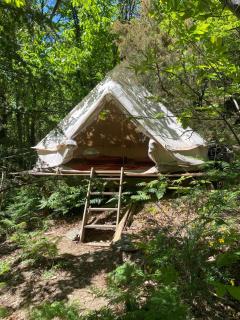 Tente tipi en forêt de châtaigniers - Dompnac - 7