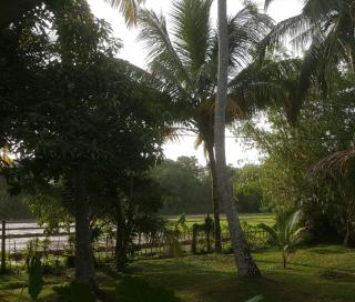 Dream Nature Villa - Weligama - 0