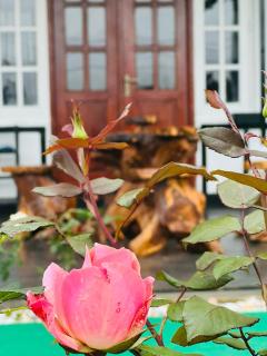 Moon Ridge Holiday Home - Nuwara Eliya - 7
