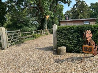 The Hive - Fishbourne - 5