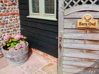 Barn Owl - 30397 - 8