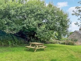 Wild Rose - Delabole - 1