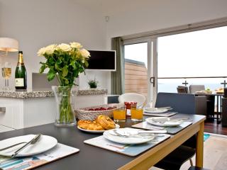 Curlew 4 - The Cove - Brixham - 3