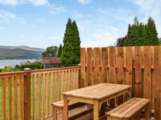 Cheviot - Ukc6789 - Fort William - 3