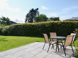 Allium - Ellingham - 1