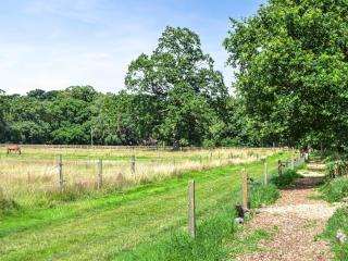 Beech - Ukc4847 - Cantley - 1