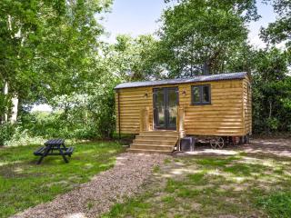 Oak - Ukc4846 - Cantley - 9