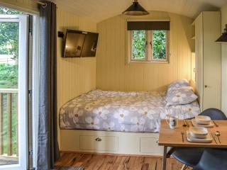 Oak - Ukc4846 - Cantley - 4