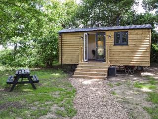 Oak - Ukc4846 - Cantley - 1