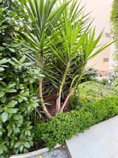 Beach Front Apartment - Split - 1