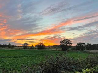 Moglett Cottage - 8