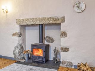 Elderberry Cottage - Carnbrea - 6