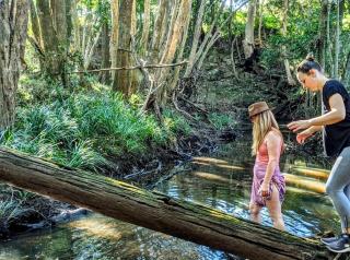 Forest Creek Retreat - - 0