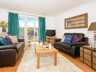 Kingfisher-Qc1185 - Milford Haven - 5