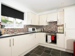 Kingfisher-Qc1185 - Milford Haven - 3