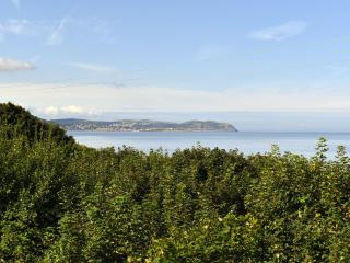 Gold Horizon - Uk35819 - Llanddulas - 1