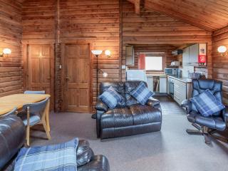 Tamnavulin Lodge - Uk49121 - Feshiebridge - 7