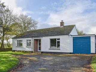 Little Blagdon Bungalow - North Tamerton - 0