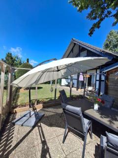 Das Waldhaus - 3