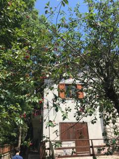 Appartamento Villa Mancini - Pescasseroli - 0