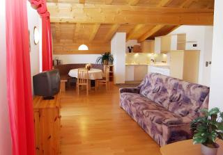 Apartments in Stummerberg - Zillertal 773 - 2