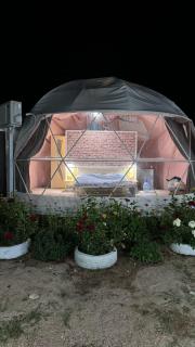 Ak-Bermet Glamping - Tosor - 0