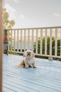 Mountain views, Indoor Fireplace, Pet friendly - Coolum Beach - 5