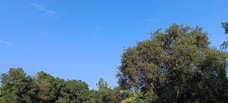 Shastri Homestay - 2