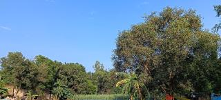 Shastri Homestay - 1