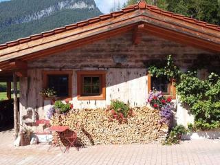 Chicken coop with private spa - 9