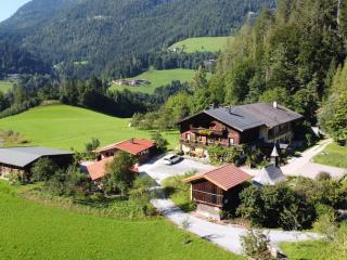 Chicken coop with private spa - 7