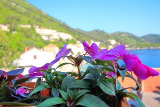 Apartment Mambo - Sobra - 3