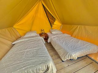 Cottage bord de mer MERVILLE FRANCEVILLE - 5