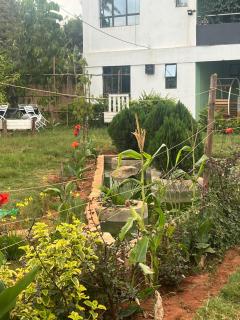 Elmadel Coffee Gardens 50kms from Nairobi - Machakos - 8