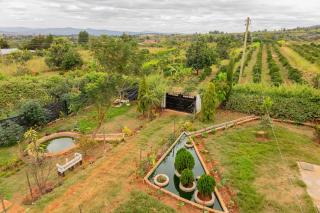 Elmadel Coffee Gardens 50kms from Nairobi - Machakos - 2