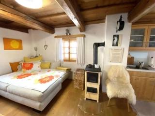 Andi s Berghütte Comfortable holiday residence - 1