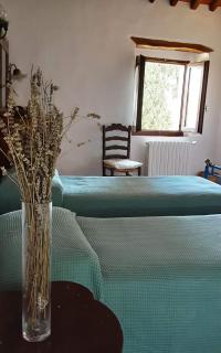 Celle di Lecchi Vigneto - 9