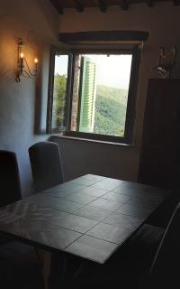 Celle di Lecchi Vigneto - 3