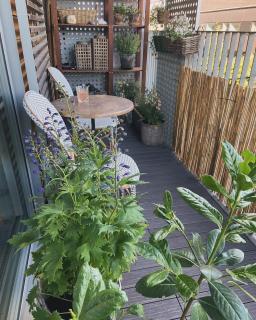 Contemporary and Luxurious - 4